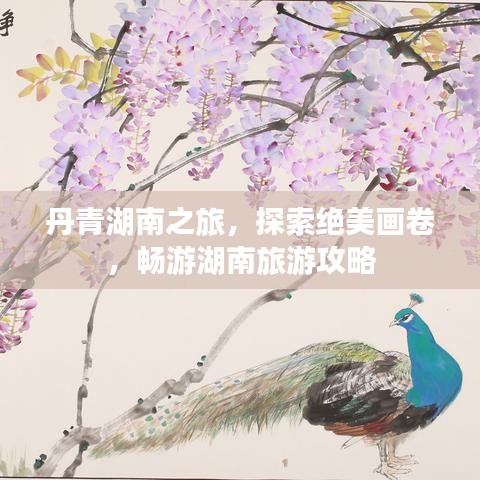 丹青湖南之旅，探索绝美画卷，畅游湖南旅游攻略