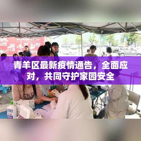 青羊区最新疫情通告，全面应对，共同守护家园安全