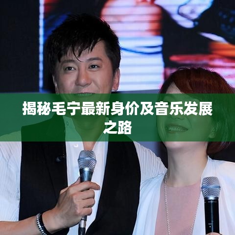 揭秘毛宁最新身价及音乐发展之路