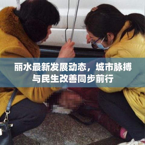 丽水最新发展动态，城市脉搏与民生改善同步前行