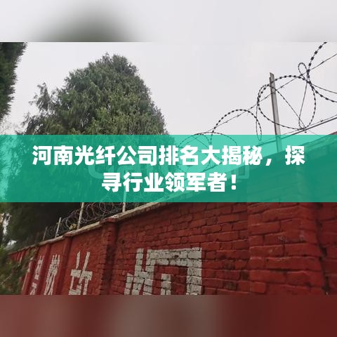河南光纤公司排名大揭秘，探寻行业领军者！