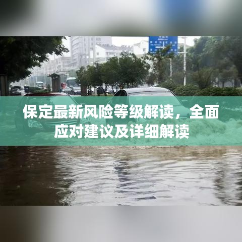 保定最新风险等级解读，全面应对建议及详细解读