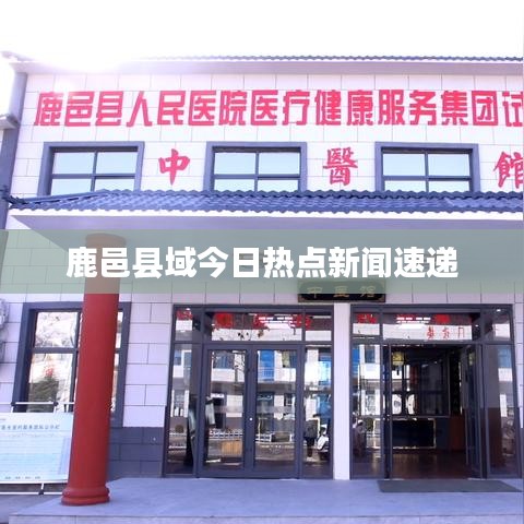 鹿邑县域今日热点新闻速递