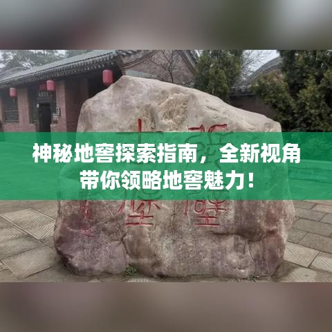 神秘地窖探索指南，全新视角带你领略地窖魅力！