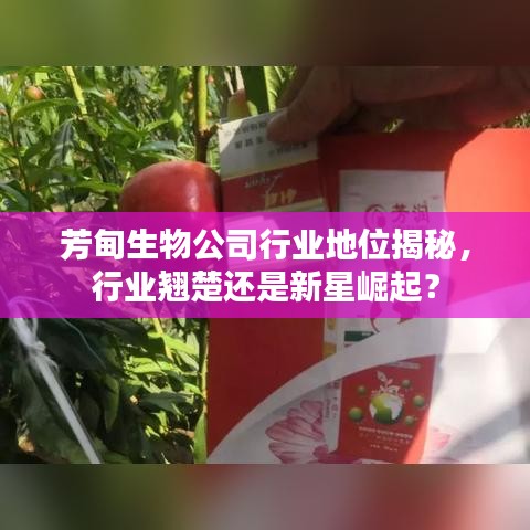 芳甸生物公司行业地位揭秘，行业翘楚还是新星崛起？