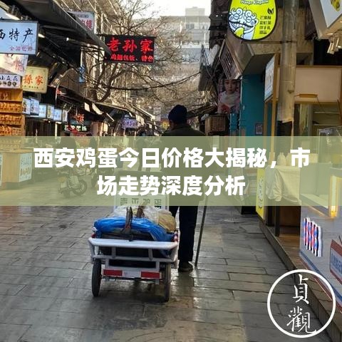 西安鸡蛋今日价格大揭秘，市场走势深度分析