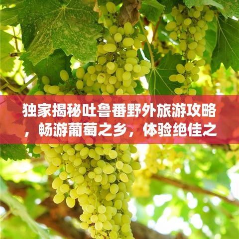 独家揭秘吐鲁番野外旅游攻略，畅游葡萄之乡，体验绝佳之旅