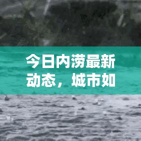 今日内涝最新动态，城市如何应对雨水挑战的挑战