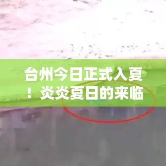 台州今日正式入夏！炎炎夏日的来临及应对准备攻略