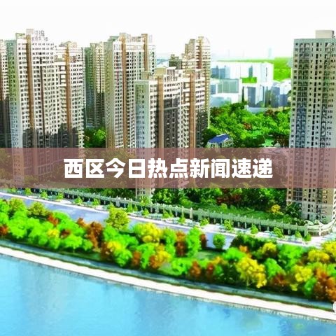 西区今日热点新闻速递