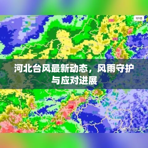 河北台风最新动态，风雨守护与应对进展