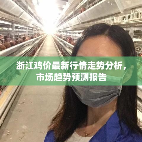 浙江鸡价最新行情走势分析，市场趋势预测报告