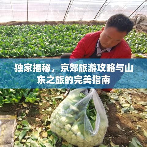 独家揭秘，京郊旅游攻略与山东之旅的完美指南
