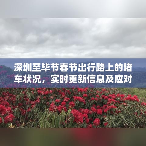 深圳至毕节春节出行路上的堵车状况，实时更新信息及应对建议