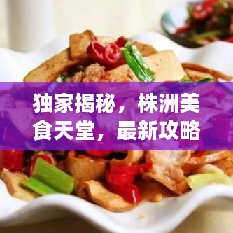 独家揭秘，株洲美食天堂，最新攻略带你领略独特风味！