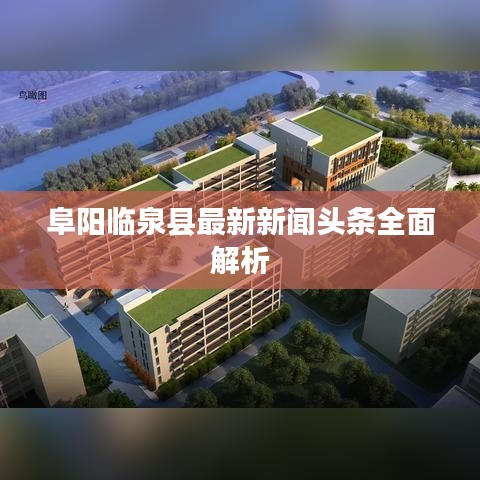 阜阳临泉县最新新闻头条全面解析