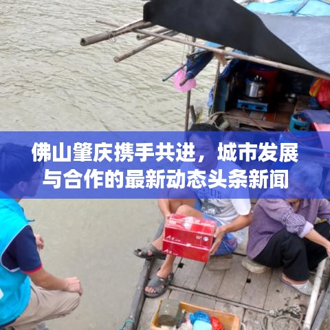 佛山肇庆携手共进，城市发展与合作的最新动态头条新闻