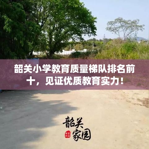 韶关小学教育质量梯队排名前十，见证优质教育实力！