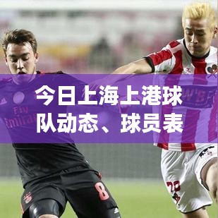 今日上海上港球队动态、球员表现与市场反应一网打尽