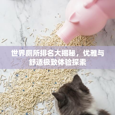 世界厕所排名大揭秘，优雅与舒适极致体验探索
