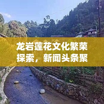龙岩莲花文化繁荣探索，新闻头条聚焦莲花文化之旅