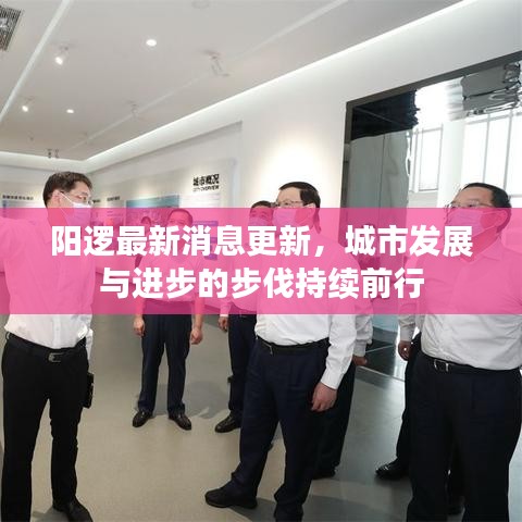 阳逻最新消息更新，城市发展与进步的步伐持续前行