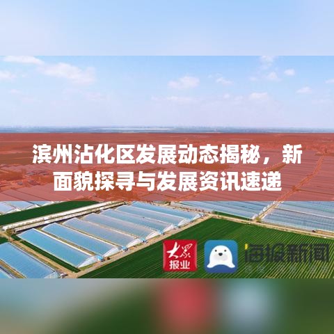 滨州沾化区发展动态揭秘，新面貌探寻与发展资讯速递