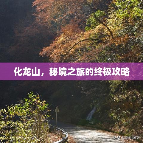 化龙山，秘境之旅的终极攻略