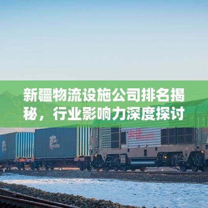 新疆物流设施公司排名揭秘，行业影响力深度探讨