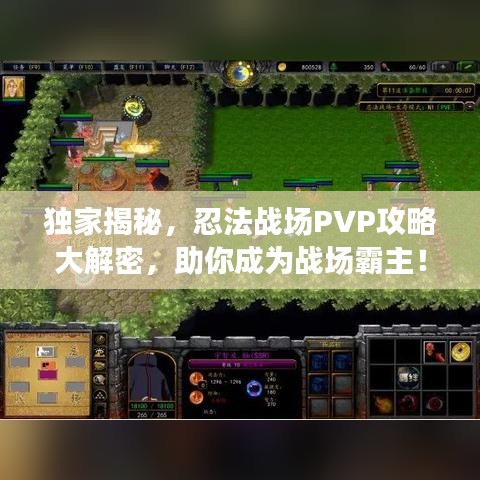 独家揭秘，忍法战场PVP攻略大解密，助你成为战场霸主！