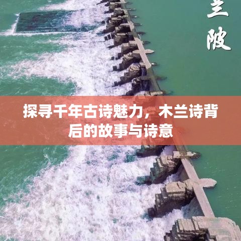 探寻千年古诗魅力，木兰诗背后的故事与诗意