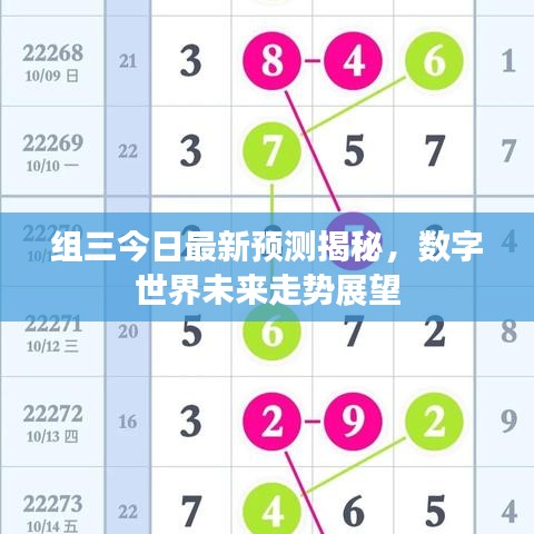 组三今日最新预测揭秘，数字世界未来走势展望