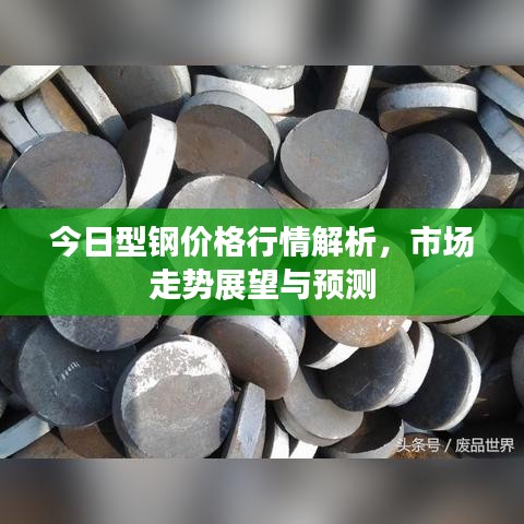 今日型钢价格行情解析，市场走势展望与预测