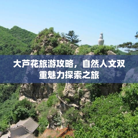 大芦花旅游攻略，自然人文双重魅力探索之旅