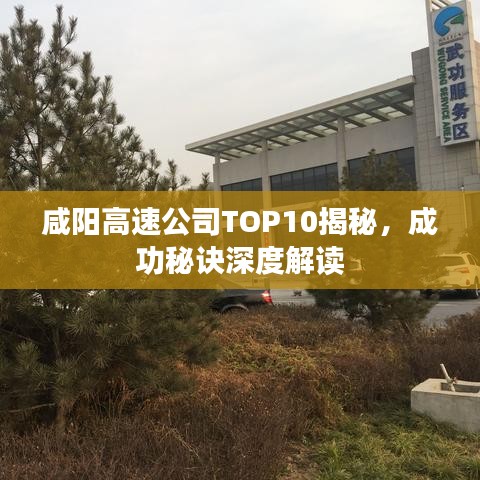 咸阳高速公司TOP10揭秘，成功秘诀深度解读