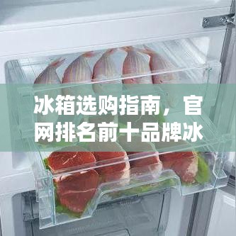 冰箱选购指南，官网排名前十品牌冰箱，让你轻松挑选优质冰箱！