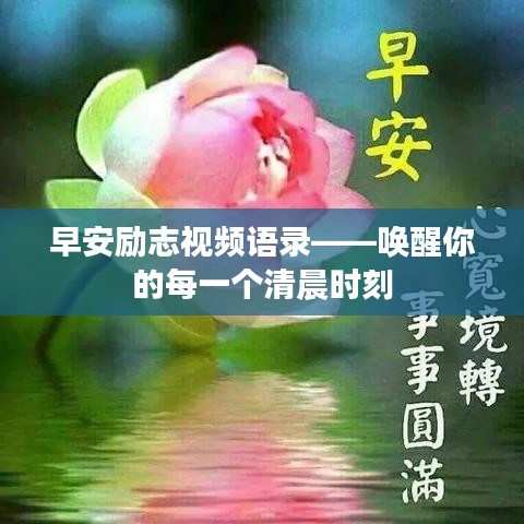 早安励志视频语录——唤醒你的每一个清晨时刻