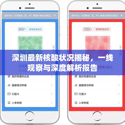 深圳最新核酸状况揭秘，一线观察与深度解析报告