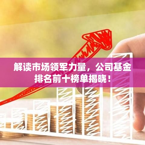 解读市场领军力量，公司基金排名前十榜单揭晓！
