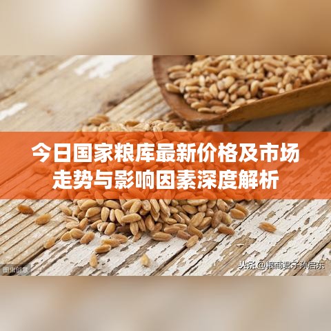 今日国家粮库最新价格及市场走势与影响因素深度解析