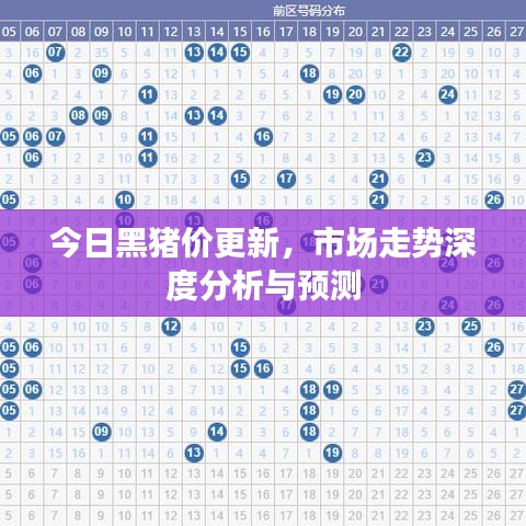 今日黑猪价更新，市场走势深度分析与预测