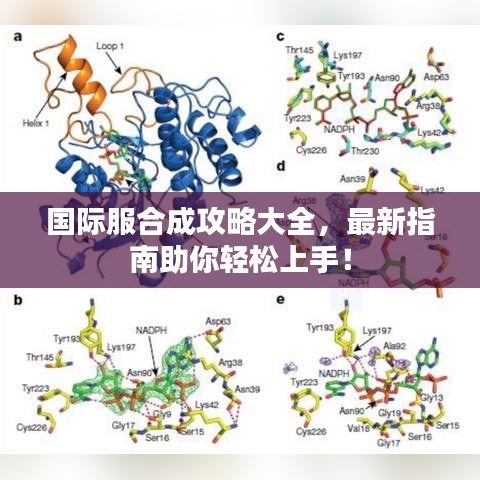 国际服合成攻略大全，最新指南助你轻松上手！