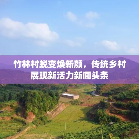 竹林村蜕变焕新颜，传统乡村展现新活力新闻头条