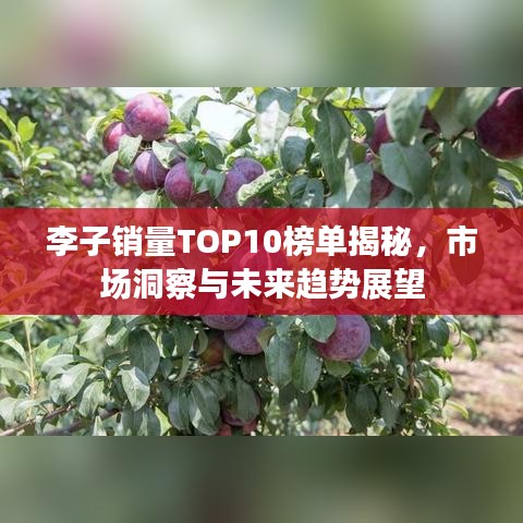 李子销量TOP10榜单揭秘，市场洞察与未来趋势展望