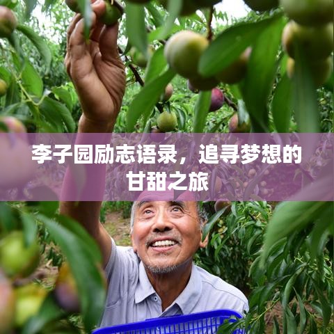 李子园励志语录，追寻梦想的甘甜之旅
