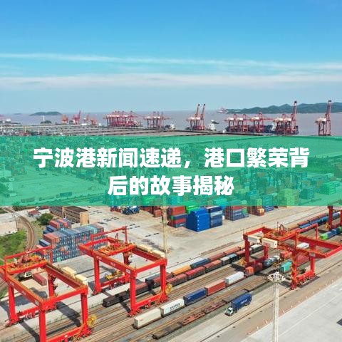 宁波港新闻速递，港口繁荣背后的故事揭秘