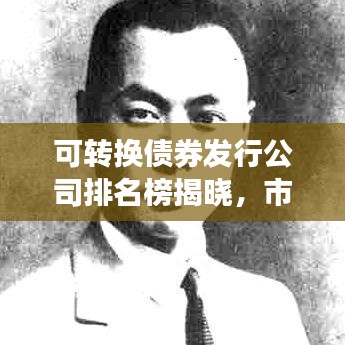 可转换债券发行公司排名榜揭晓，市场领导者与趋势大揭秘！