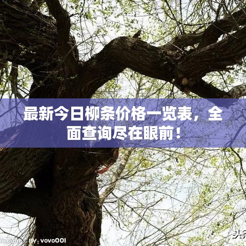 最新今日柳条价格一览表，全面查询尽在眼前！