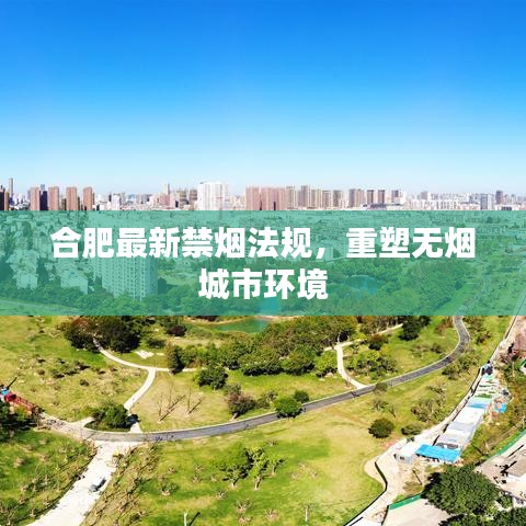 合肥最新禁烟法规，重塑无烟城市环境