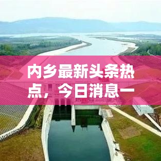 内乡最新头条热点，今日消息一网打尽